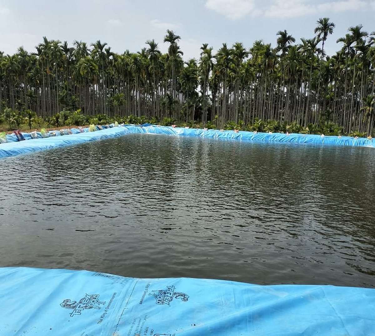 ಕೊರಟಗೆರೆ: ಕೃಷಿ ಹೊಂಡಕ್ಕೆ ಬಿದ್ದು ಇಬ್ಬರು ಮಹಿಳೆಯರು ಸಾವು