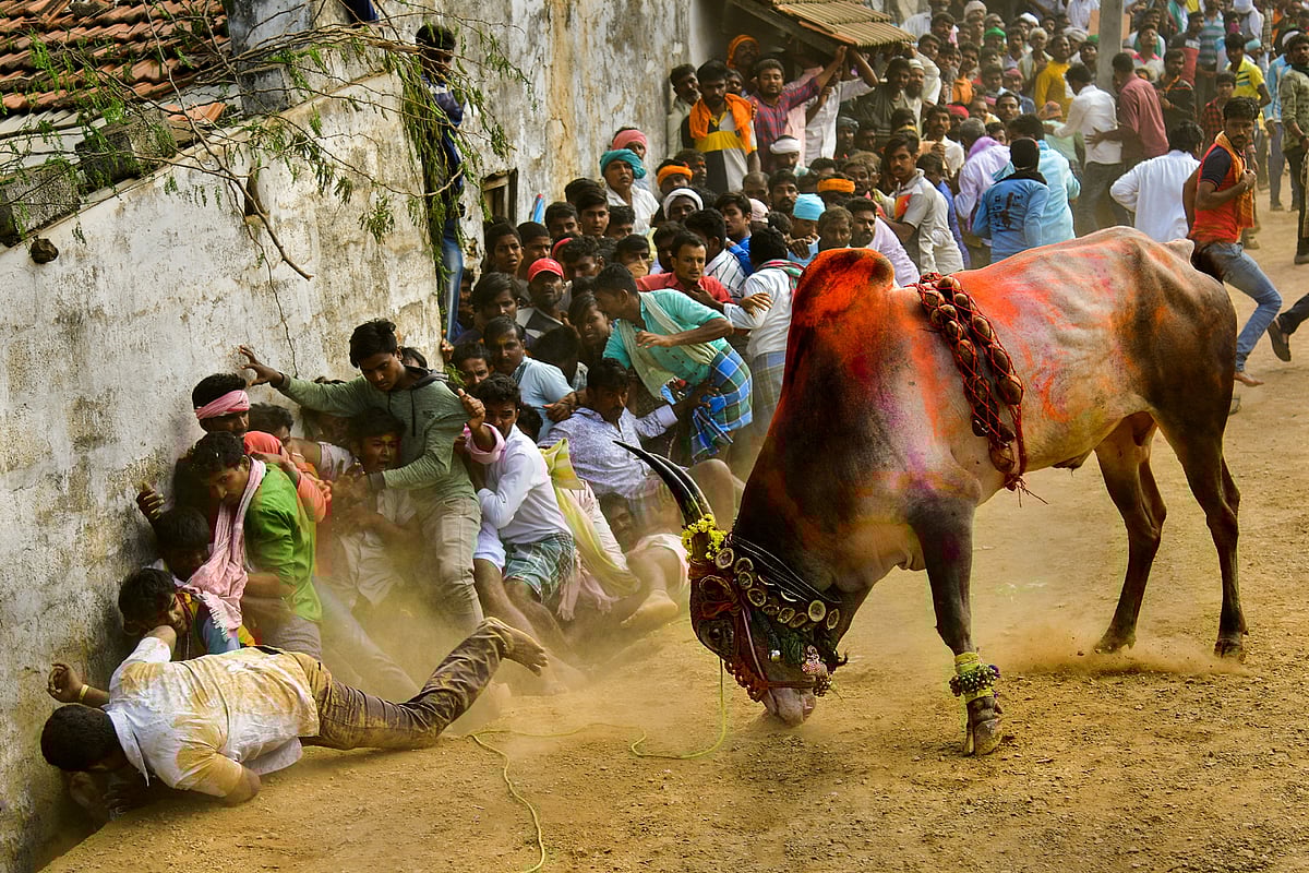 ಛಾಯಾಗ್ರಹಣ ಸ್ಪರ್ಧೆ: ಕಂದಕೂರಗೆ 2 ಚಿನ್ನ, 1 ಬೆಳ್ಳಿ ಪದಕ
