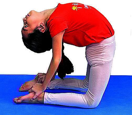 ಕ್ಷೇಮ–ಕುಶಲ | ಪ್ರಾಣಿಯೊಂದಿಗೆ ಪಯಣ: ಆಟದೊಂದಿಗೆ ಆಸನ