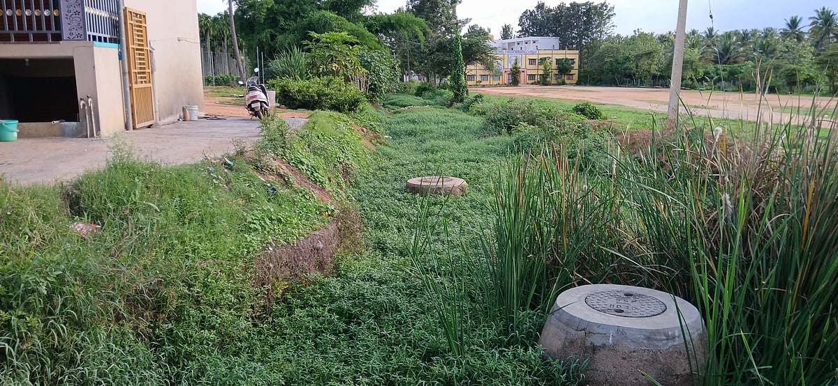 ರಾಜಕಾಲುವೆ ಆವರಿಸಿದ ಕಸ, ಗಿಡಗಂಟಿ: ಮಳೆ ಬಂದರೆ ರಸ್ತೆ ಮೇಲೆ ಹರಿಯುವ ನೀರು