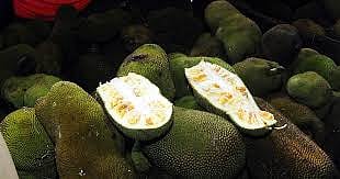 ತಿಪಟೂರು: 13-14ರಂದು ಹಲಸಿನ ಹಬ್ಬ 