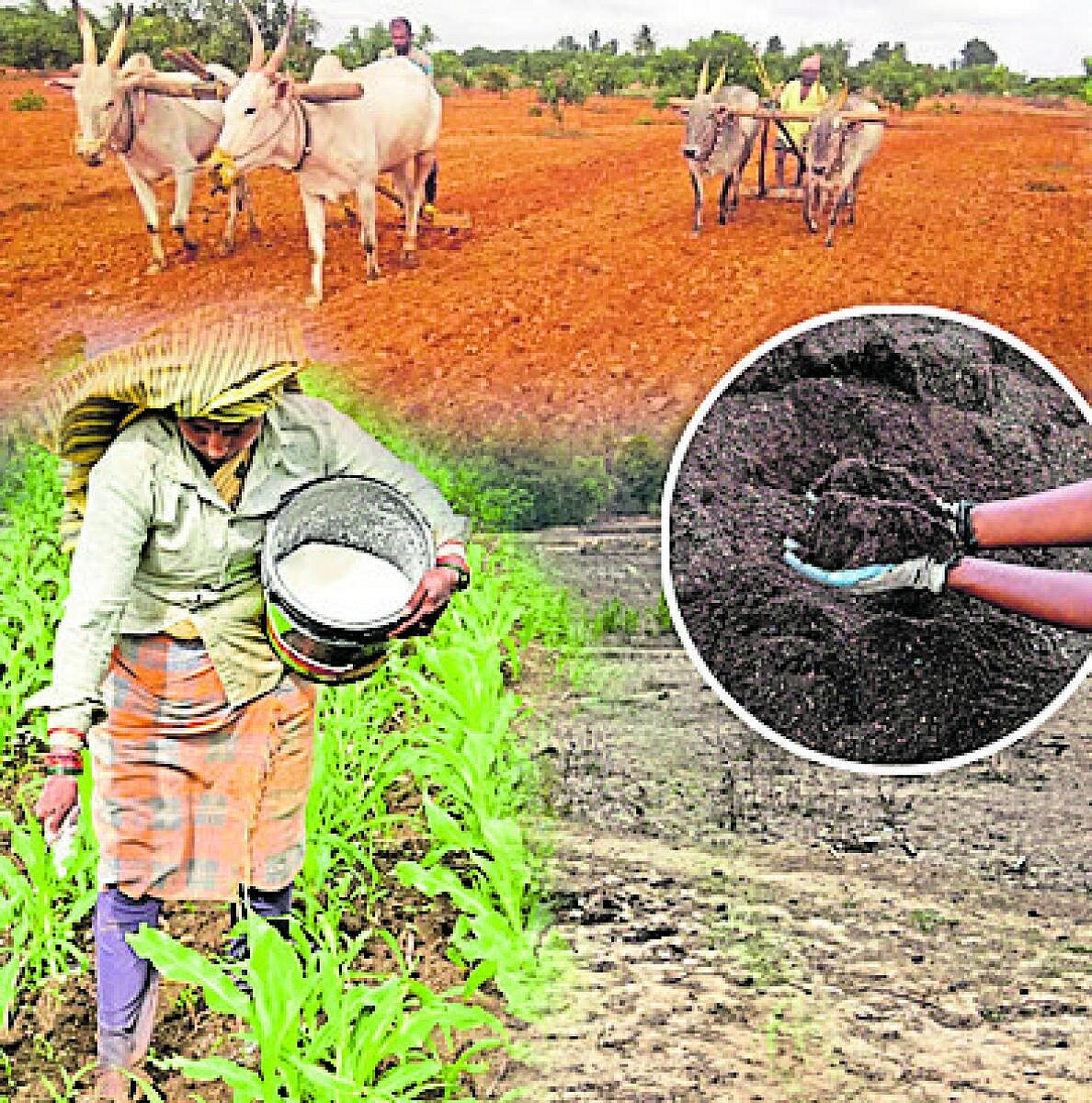 ಸಂಗತ | ಫಲವತ್ತತೆಯಲ್ಲಿದೆ ನಮ್ಮ ಹಿತ