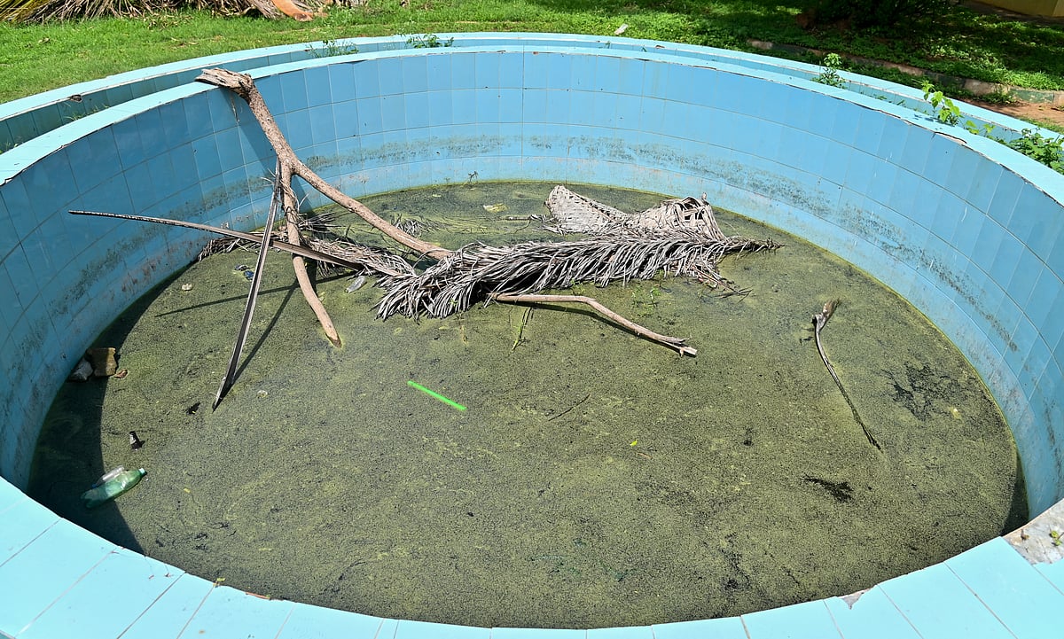 ಮೈಸೂರು | ಪಾರ್ಕ್‌ಗೆ ದುಬಾರಿ ವೆಚ್ಚ; ನಿರ್ವಹಣೆ ನಗಣ್ಯ