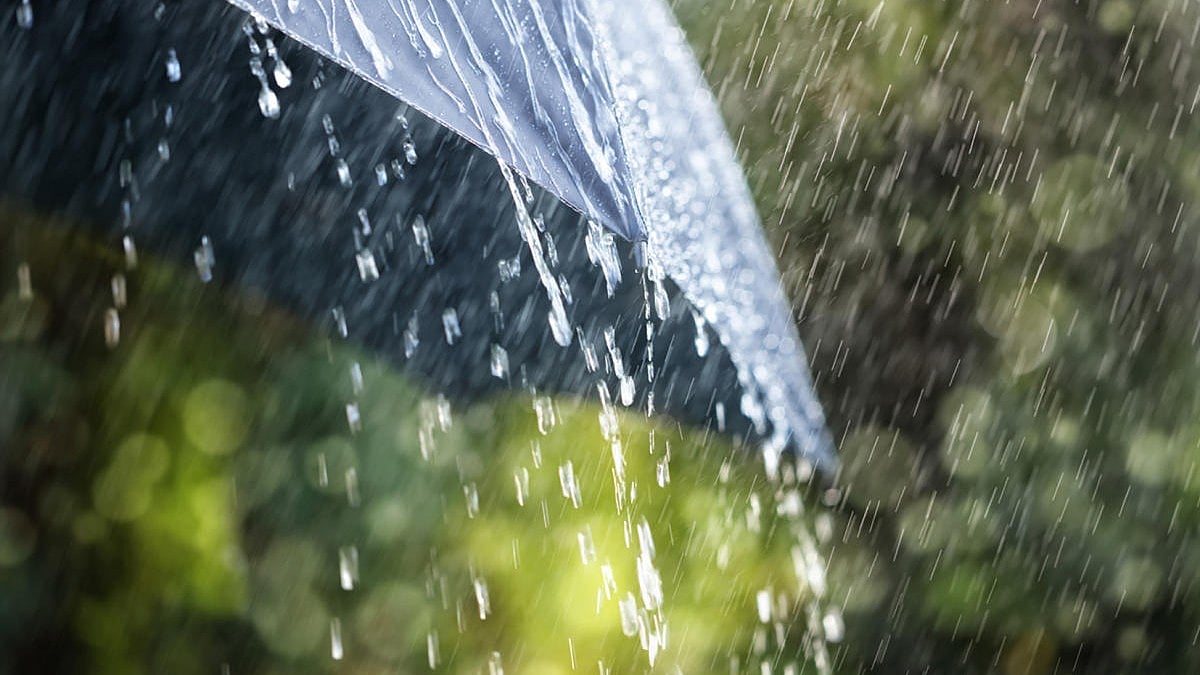 ದಕ್ಷಿಣ ಒಳನಾಡಿನ ನಾಲ್ಕು ಜಿಲ್ಲೆಗಳಲ್ಲಿ ಮಳೆ ಸಾಧ್ಯತೆ: ಹವಾಮಾನ ಇಲಾಖೆ ಮುನ್ಸೂಚನೆ