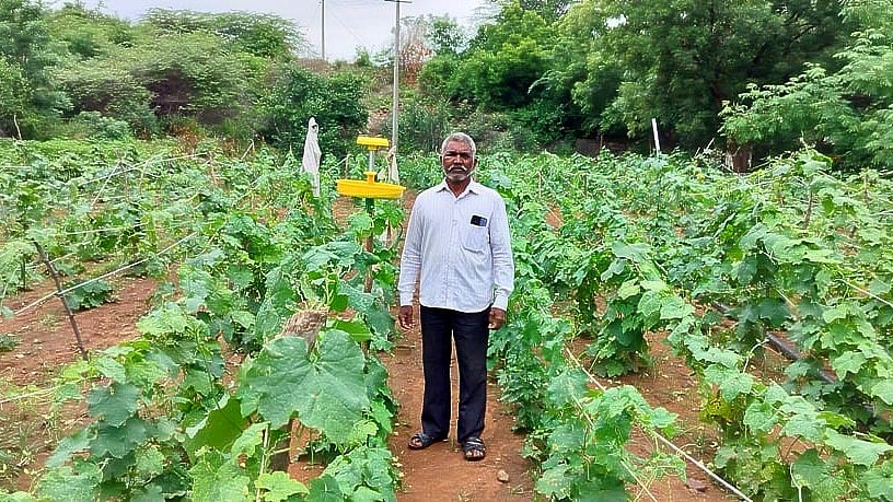 ಗುಳೇದಗುಡ್ಡ: ಹಲವು ಬೆಳೆ, ಉತ್ತಮ ಆದಾಯ– ಸಾವಯವ ಮಿಶ್ರ ಬೇಸಾಯದ ಕೃಷಿಕ ಕಮತರ