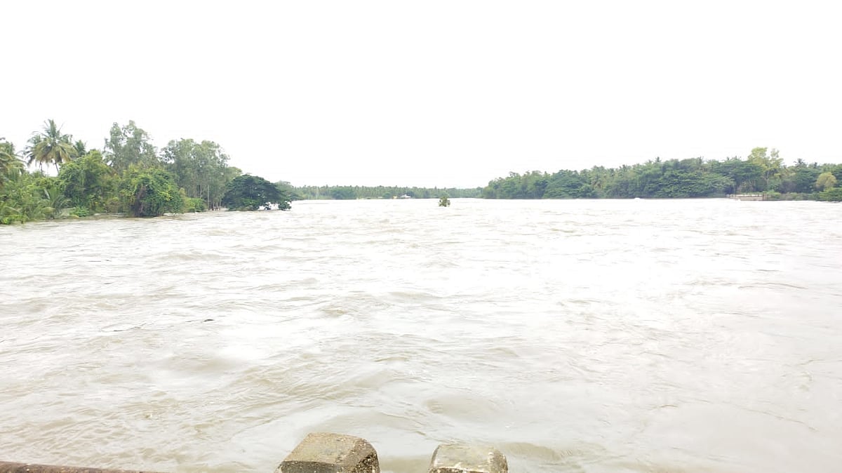 ಮೈದುಂಬಿ ಹರಿಯುತ್ತಿರುವ ಹೇಮೆ: ನದಿಪಾತ್ರದಲ್ಲಿ ಜೀವಕಳೆ
