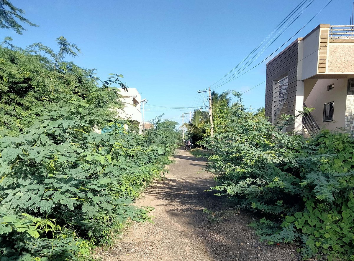 ಕೂಡಲಸಂಗಮ: ಅವ್ಯವಸ್ಥೆಗಳ ಆಗರ ಅರ್ಚಕರ ಕಾಲೊನಿ