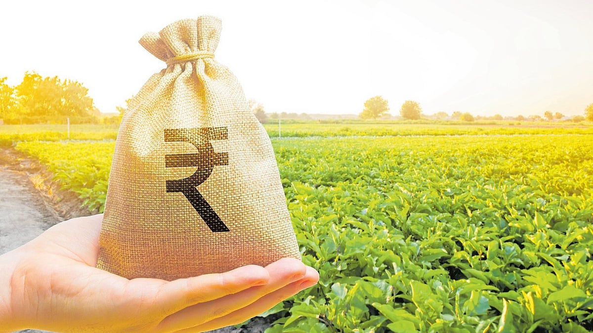 ಬಡತನ ಪ್ರಮಾಣ ಶೇ 8.5ಕ್ಕೆ ಇಳಿಕೆ: ಎನ್‌ಸಿಎಇಆರ್‌ ವರದಿ