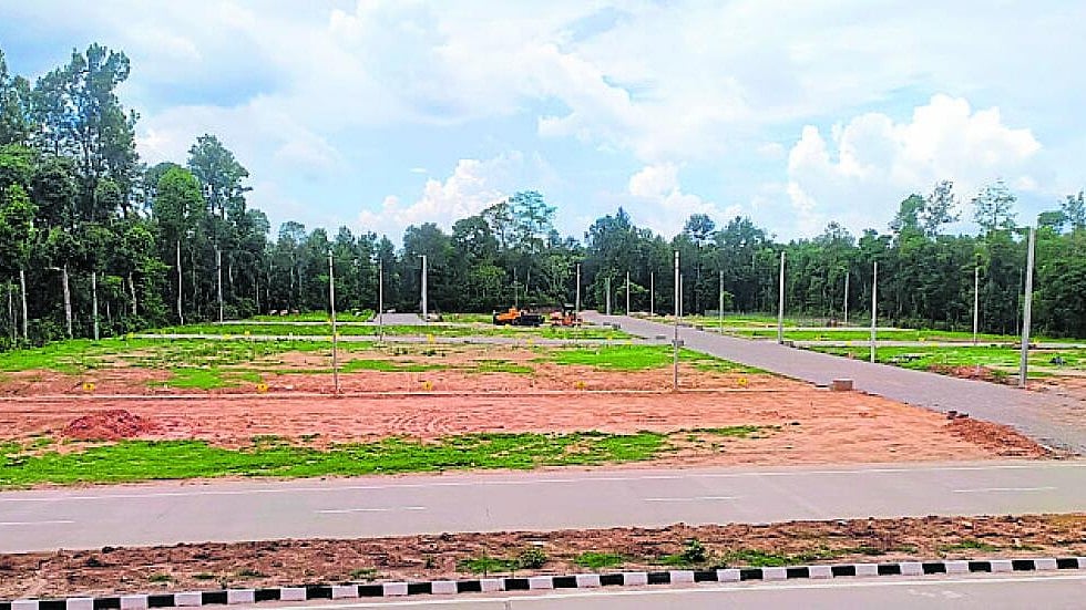 ಒಳನೋಟ | ಕಾಫಿ; 'ಭೂಮಾಫಿಯಾ' ವಶಕ್ಕೆ