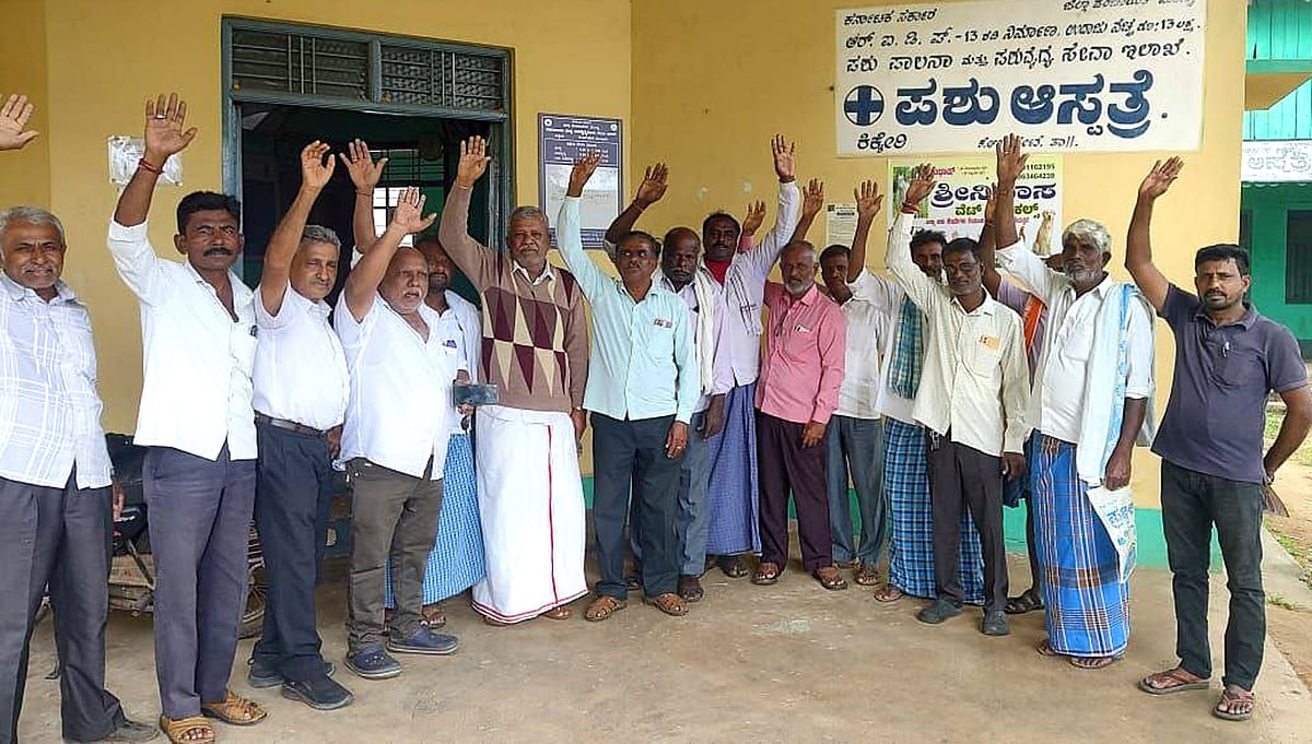 ಕಿಕ್ಕೇರಿ | ಸೂಕ್ತ ಚಿಕಿತ್ಸೆ ಸಿಗದೆ ಕರು ಸಾವು: ರೈತರ ಪ್ರತಿಭಟನೆ