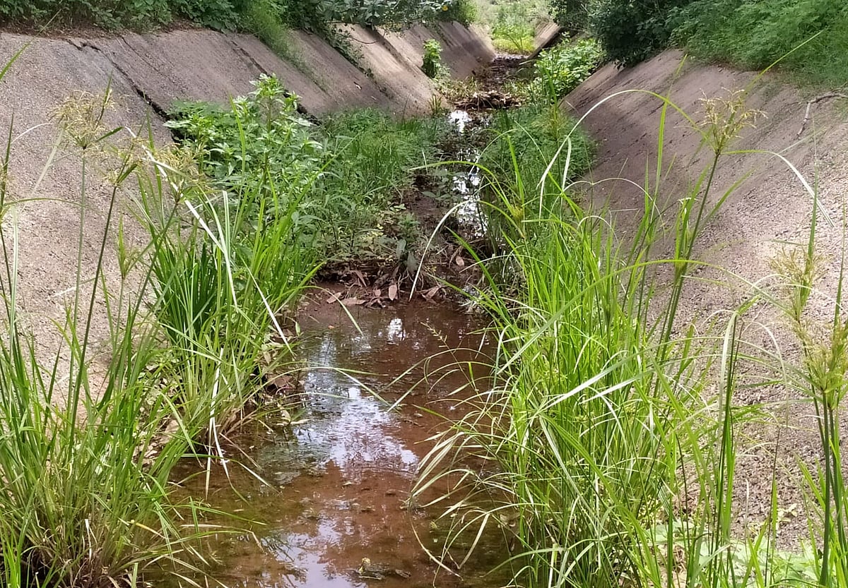 ಗಂಗಾವತಿ: ನೀರು ಬಿಡುವ ಮೊದಲೇ ನಡೆಯದ ಸ್ವಚ್ಛತೆ