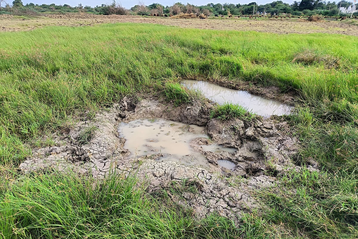 ಕವಿತಾಳ | ಬಸಾಪುರಕ್ಕೆ ಕಲುಷಿತ ನೀರು ಪೂರೈಕೆ; ಗ್ರಾಮಸ್ಥರಲ್ಲಿ ಆತಂಕ