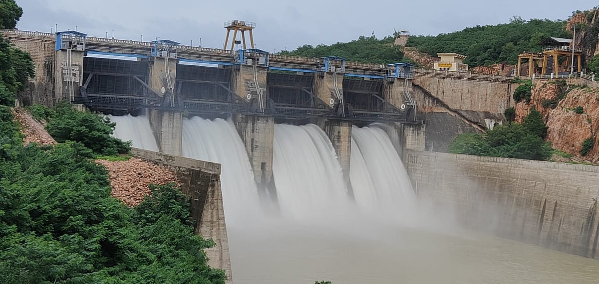 ಸವದತ್ತಿ ಪಂಪ್ಡ್‌ ಸ್ಟೋರೇಜ್‌ ಜಲವಿದ್ಯುತ್ ಯೋಜನೆ: 65,000 ಮರಗಳಿಗೆ ಕುತ್ತು