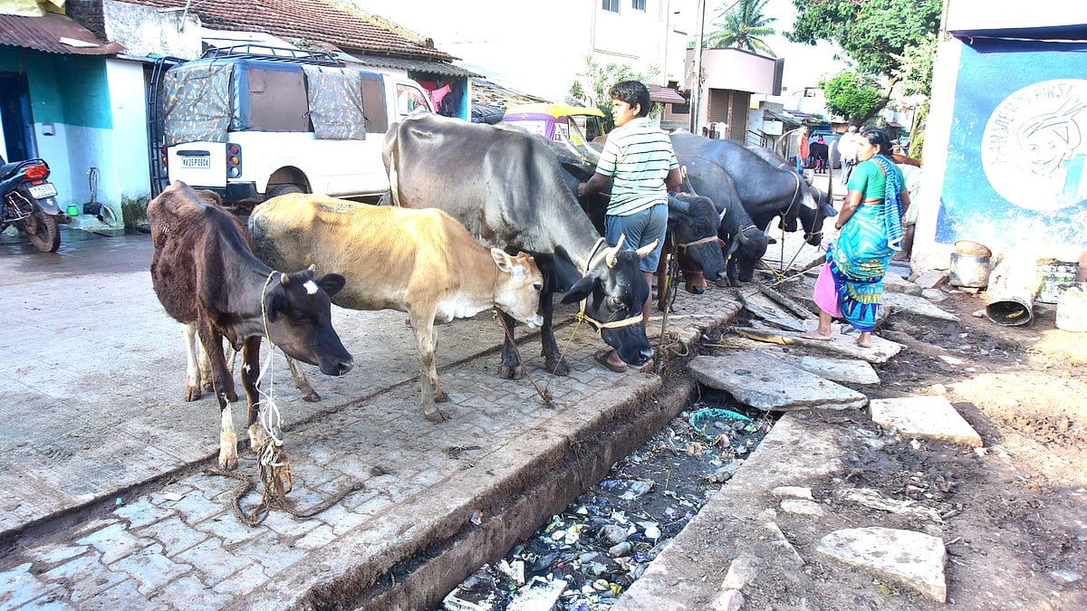 ಹುಬ್ಬಳ್ಳಿ | ನಗರಲ್ಲೊಂದು ಹಳ್ಳಿ ಸೊಗಡು