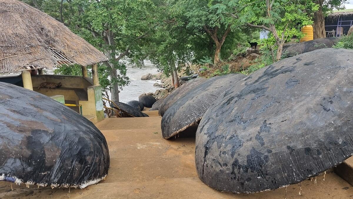 ಚಾಮರಾಜನಗರ | ಹೊಗೇನಕಲ್‌ನಲ್ಲಿ ದೋಣಿ ವಿಹಾರ ತಾತ್ಕಾಲಿಕ ಸ್ಥಗಿತ