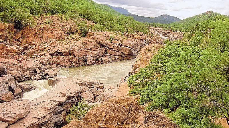 ಮೇಕೆದಾಟು: ‘ಪರಿಸರ’ ಅಡ್ಡಿ ನಿವಾರಣೆಗೆ ಮತ್ತೆ ಕಸರತ್ತು 