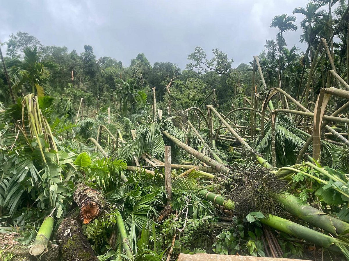 ಉಡುಪಿ | ಸುಂಟರ ಗಾಳಿ: ಮನೆ, ತೋಟಗಳಿಗೆ ಹಾನಿ