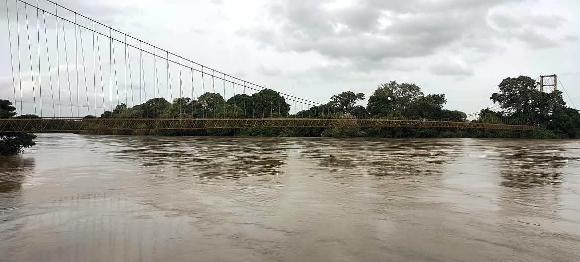 ಗುಡುಗು ಸಹಿತ ಮಳೆ; ಉರುಳಿದ ಮರ