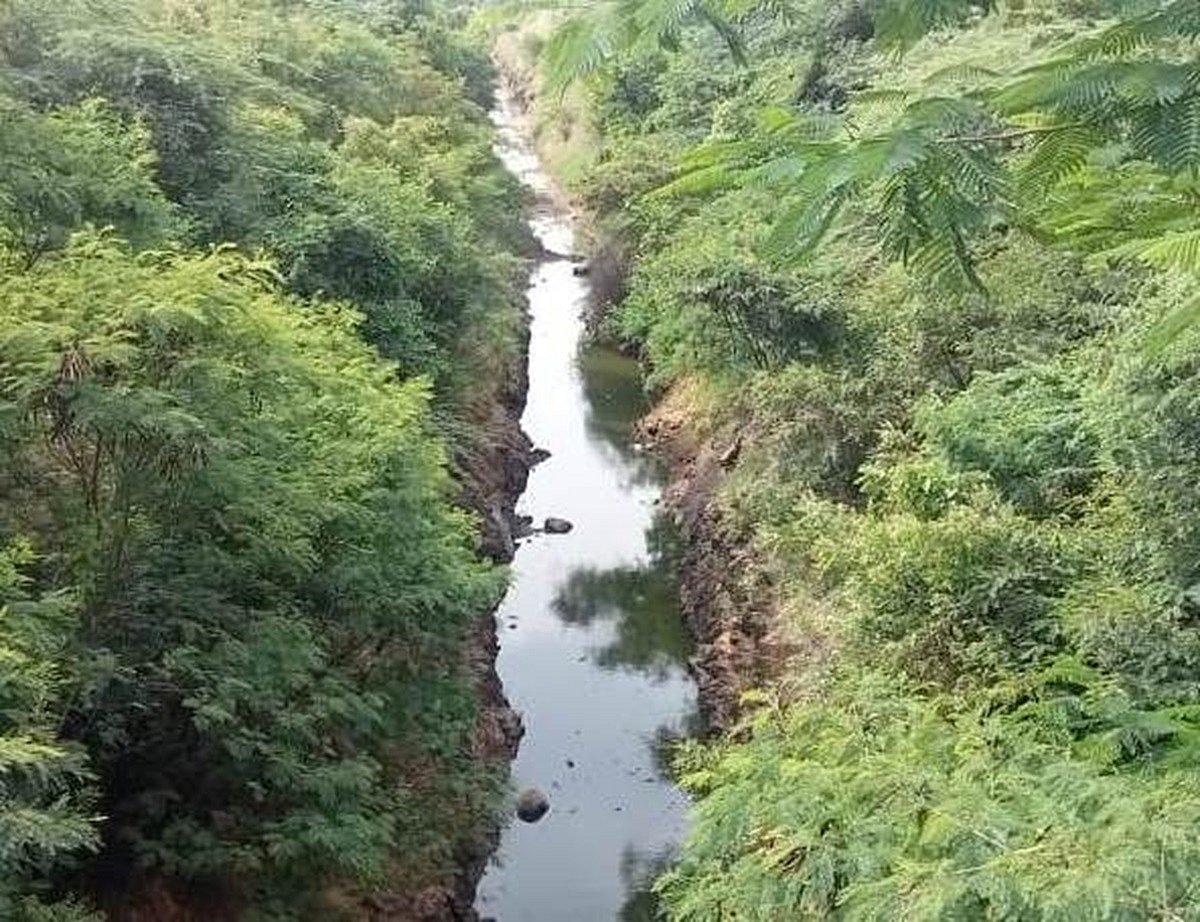 ಸಂತೇಮರಹಳ್ಳಿ | ನಾಲೆಗೆ ಹರಿದ ಕಬಿನಿ; ಕೃಷಿ ಚಟುವಟಿಕೆ ಬಿರುಸು