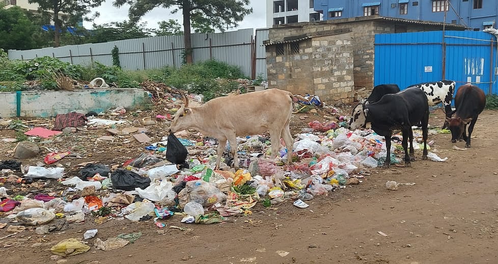 ರಾಮಮೂರ್ತಿನಗರ: ಎಲ್ಲೆಂದರಲ್ಲಿ ಕಸದ ರಾಶಿ