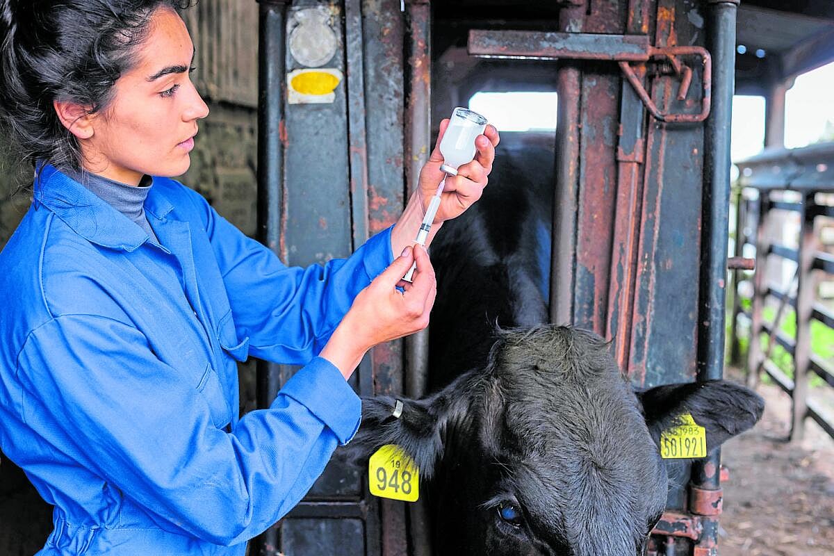ಪಶುಸಂಗೋಪನೆ ಡಿಪ್ಲೊಮಾ ಕೋರ್ಸ್‌