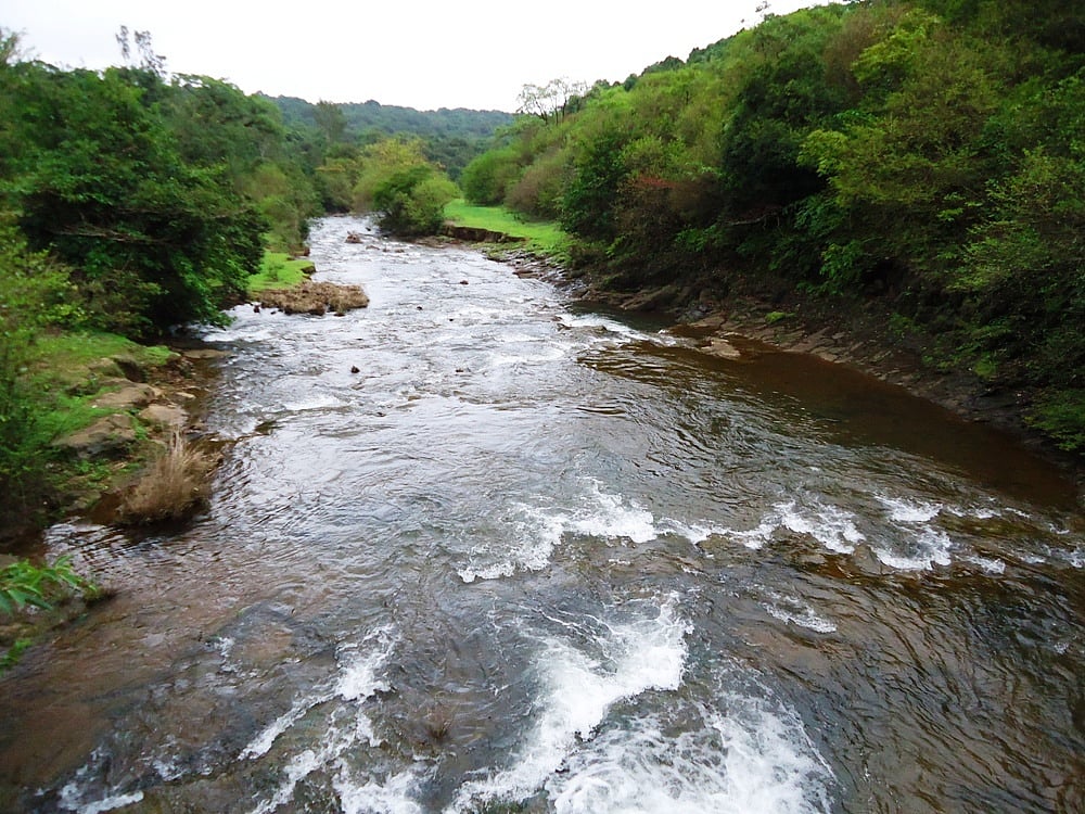 ಮಹದಾಯಿ: ವನ್ಯಜೀವಿ ಮಂಡಳಿ ಸಭೆಯಲ್ಲಿ ನಾಡಿದ್ದು ತೀರ್ಮಾನ? 