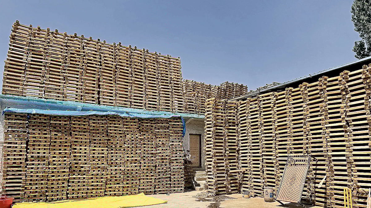 ಕಾಶ್ಮೀರ ಕಣಿವೆಯ ವಿಲ್ಲೊ ಕ್ರಿಕೆಟ್‌ ಬ್ಯಾಟ್‌ಗಳು..