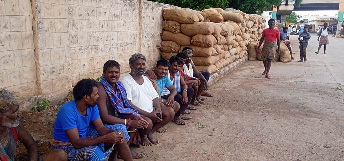 ಕುಷ್ಟಗಿ ಎಪಿಎಂಸಿಯಲ್ಲಿ ಬೇವಿನ ಬೀಜದ ಆವಕಕ್ಕೆ ಬರ: ಪ್ರಾಂಗಣವೆಲ್ಲ ಭಣ ಭಣ