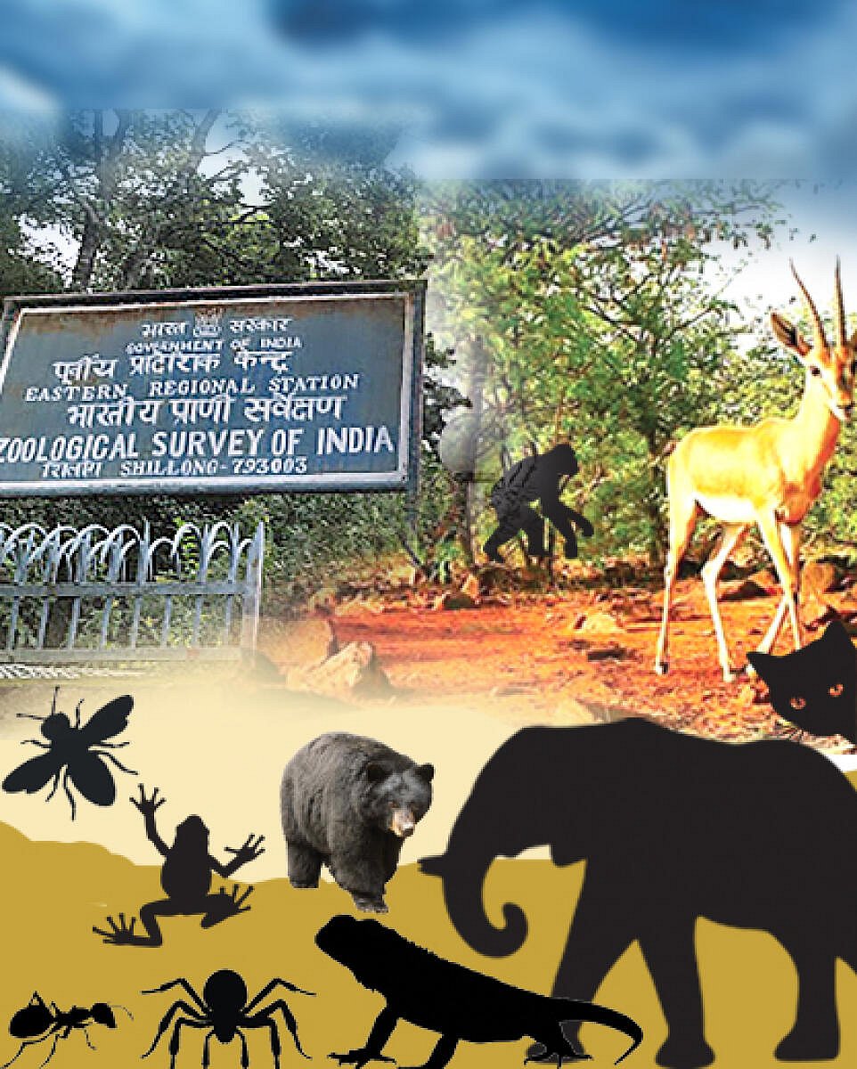 ವಿಶ್ಲೇಷಣೆ | ಜೀವಿವೈವಿಧ್ಯ: ಕಳೆದೀತು ಸಂಪತ್ತು