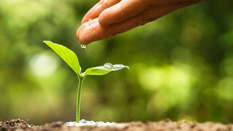 ಮಧ್ಯಪ್ರದೇಶ | 12 ಗಂಟೆಗಳಲ್ಲಿ 11 ಲಕ್ಷ ಗಿಡಗಳನ್ನು ನೆಡುವ ದಾಖಲೆ: ಸಚಿವ ಕೈಲಾಶ್