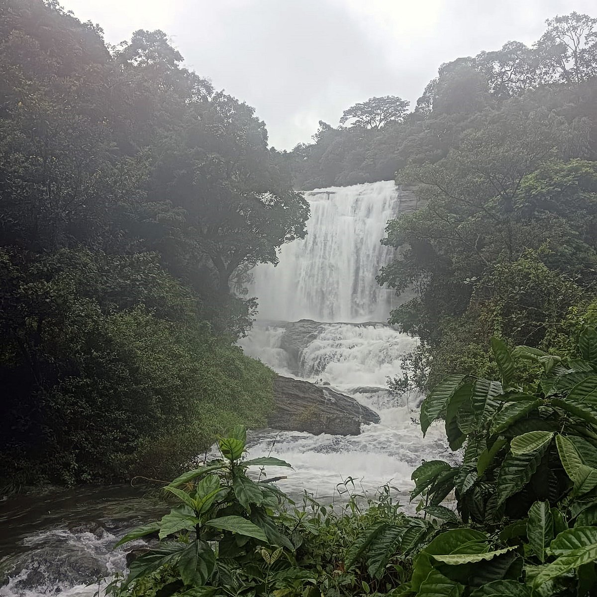 ಚೇಲಾವರದ ಪ್ರತಿರೂಪ ಈ ಚೆಲುವಿನ ಜಲಪಾತ!
