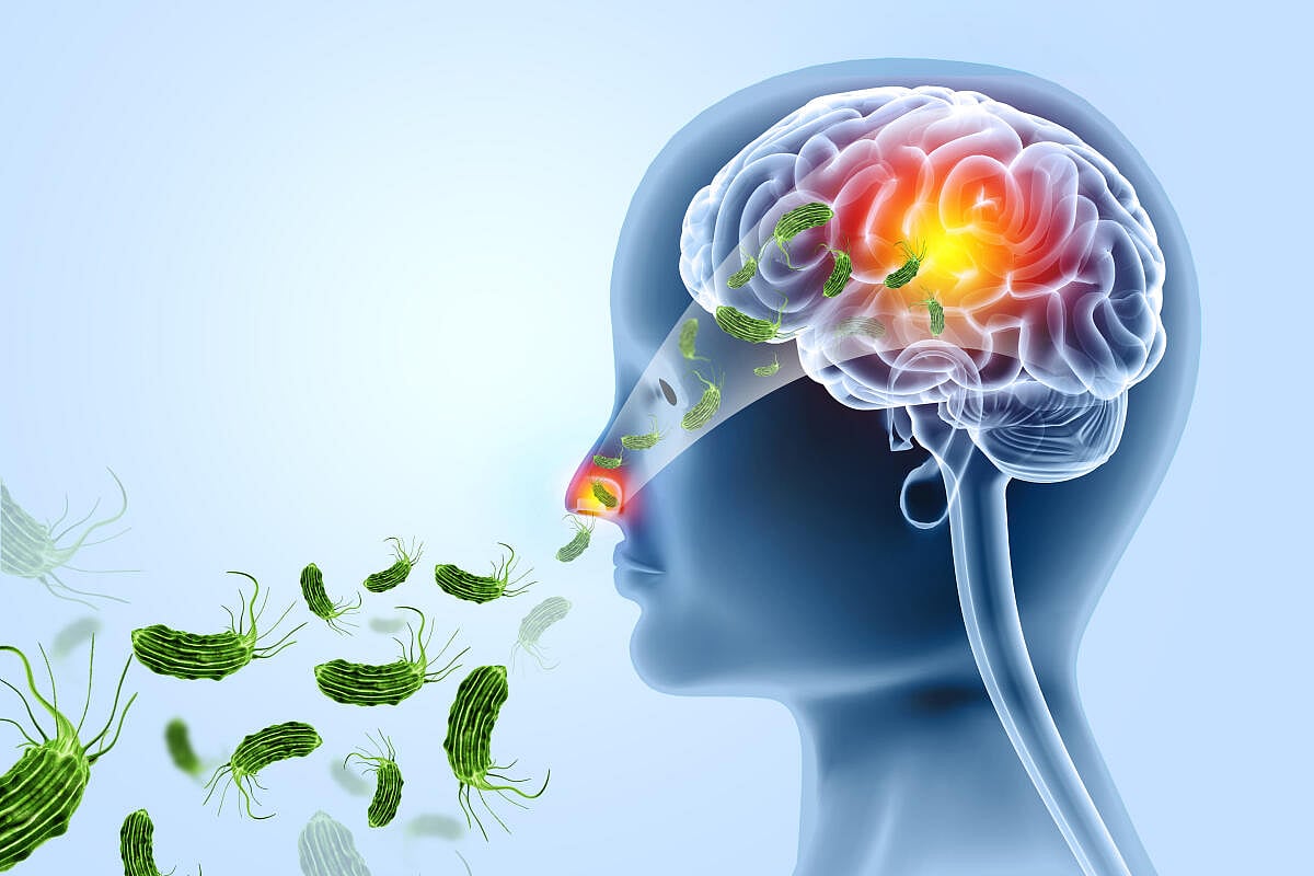 ಆಳ–ಅಗಲ | ‘ದೇವರ ನಾಡ’ಲ್ಲಿ ಆತಂಕ ತಂದ ‘ಮಿದುಳು ತಿನ್ನುವ ಅಮೀಬಾ’