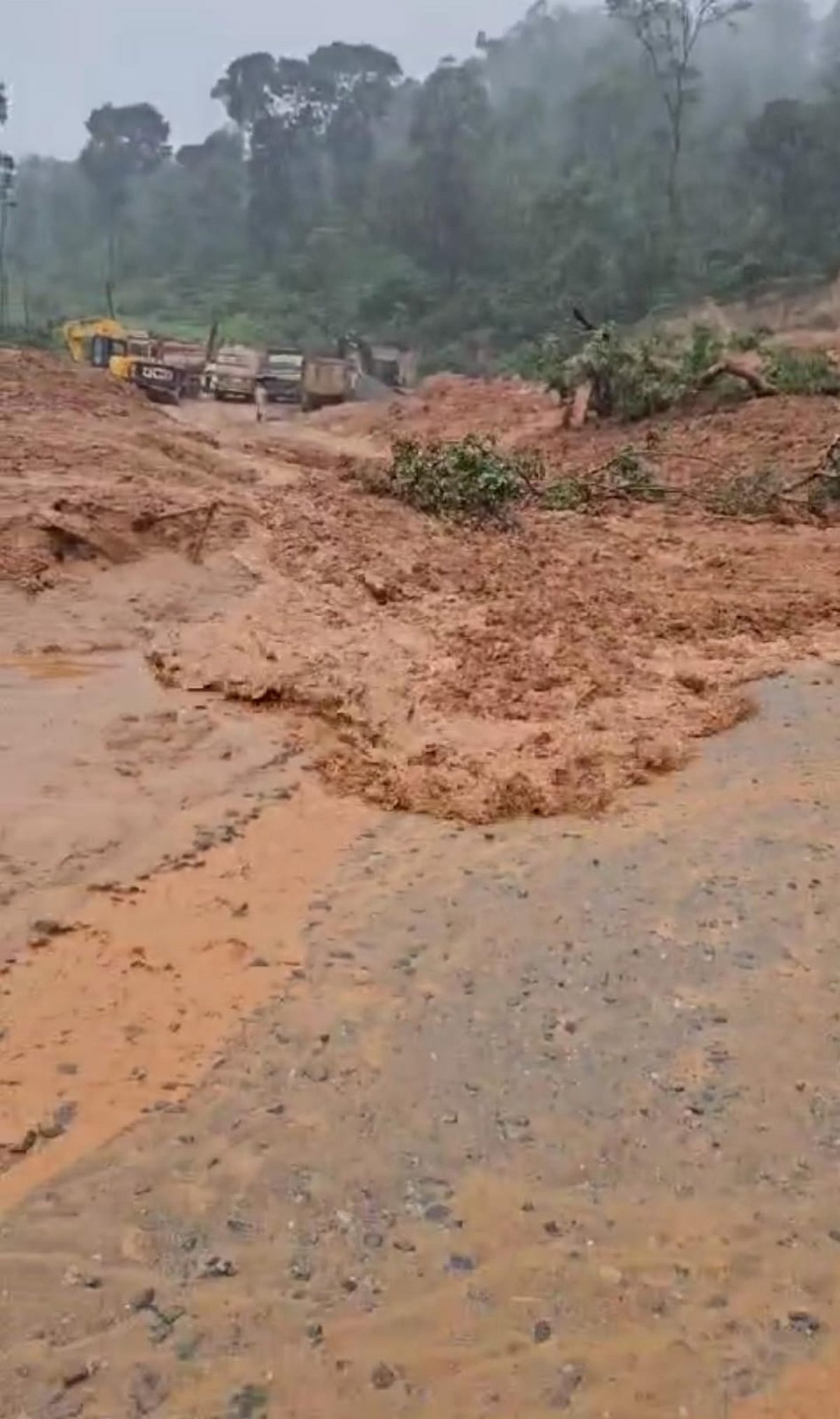 ಹಾಸನ | ದೊಡ್ಡತಪ್ಪಲೆ ಬಳಿ ನಿಲ್ಲದ ಭೂಕುಸಿತ 