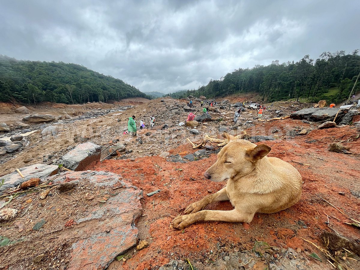 Wayanad Landslide: ಚಿತ್ರಗಳು ಹೇಳುತ್ತಿವೆ ದುರಂತ ಭೂಮಿಯ ಕರುಣಾಜನಕ ಕಥೆ!