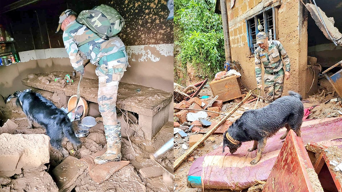 ವಯನಾಡ್ ದುರಂತ: ಅವಶೇಷಗಳಡಿ ಸಿಲುಕಿದವರ ಪತ್ತೆಗೆ ಸೇನಾ ಶ್ವಾನದಳದಿಂದ ಶೋಧಕಾರ್ಯ