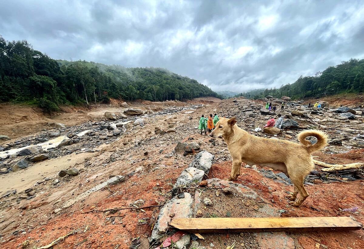 Wayanad Landslides: ಸಂತ್ರಸ್ತರಿಗೆ ಕೇರಳ ಸರ್ಕಾರದಿಂದ ಉಚಿತ ಪಡಿತರ ವಿತರಣೆ