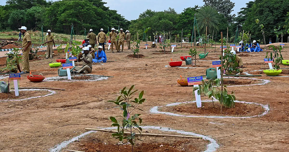 ಬೆಂಗಳೂರು | ಕೆರೆ, ಉದ್ಯಾನಗಳಲ್ಲಿ 19 ಸಾವಿರ ಗಿಡ ನೆಡಲು ಬಿಬಿಎಂಪಿ ಕಾರ್ಯಕ್ರಮ