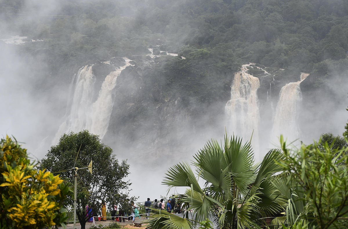 ಲಿಂಗನಮಕ್ಕಿ ಜಲಾಶಯದಿಂದ ಶರಾವತಿಗೆ ನೀರು; ಕಳೆಗಟ್ಟಿದೆ ಜೋಗದ ಸಿರಿಯ ದೃಶ್ಯಕಾವ್ಯ
