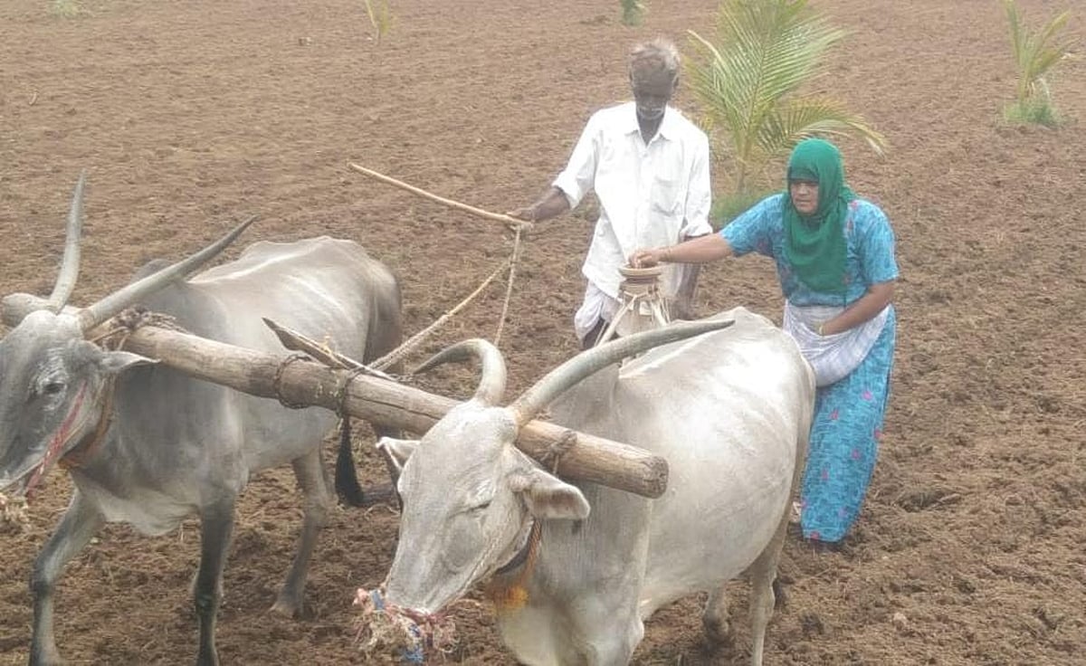 ಹೊಸದುರ್ಗ | ಬಿರುಸಿನಿಂದ ಸಾಗಿದ ರಾಗಿ ಬಿತ್ತನೆ ಕಾರ್ಯ