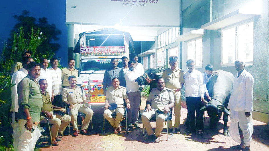 ಭಾಲ್ಕಿ ತಾಲ್ಲೂಕಿನ ಮೆಹಕರ ಪೊಲೀಸ್ ಠಾಣೆಯಲ್ಲಿ ಬುಧವಾರ ಕಳುವಾಗಿದ್ದ ಎಮ್ಮೆಗಳನ್ನು ರೈತರಿಗೆ ಒಪ್ಪಿಸಲಾಯಿತು