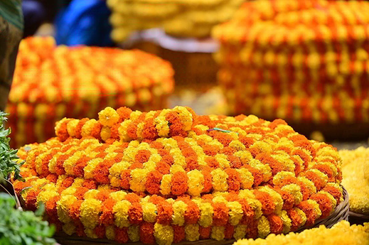 ಜಿಕೆವಿಕೆಗೂ ಕೆ.ಆರ್‌. ಮಾರ್ಕೆಟ್‌ಗೂ ಸಂಬಂಧ‌ವಿಲ್ಲ: ಸ್ಪಷ್ಟನೆ