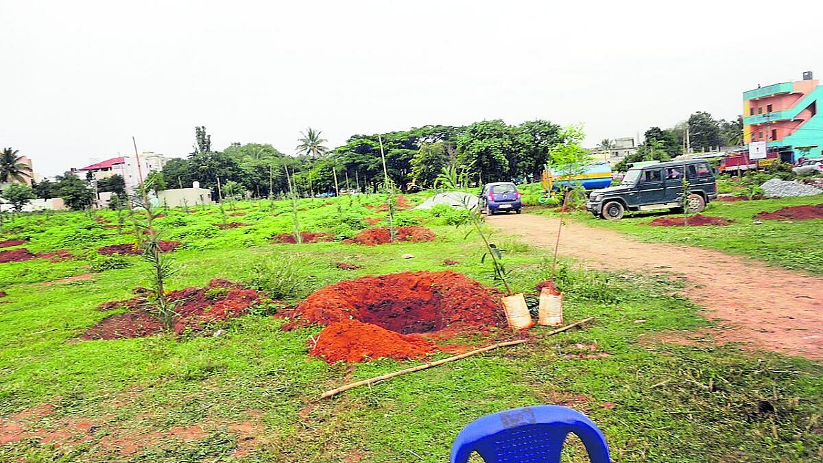 ಕೊತ್ತನೂರು: 17 ಎಕರೆಯಲ್ಲಿ ವೃಕ್ಷೋದ್ಯಾನ, ಪಕ್ಷಿಲೋಕ