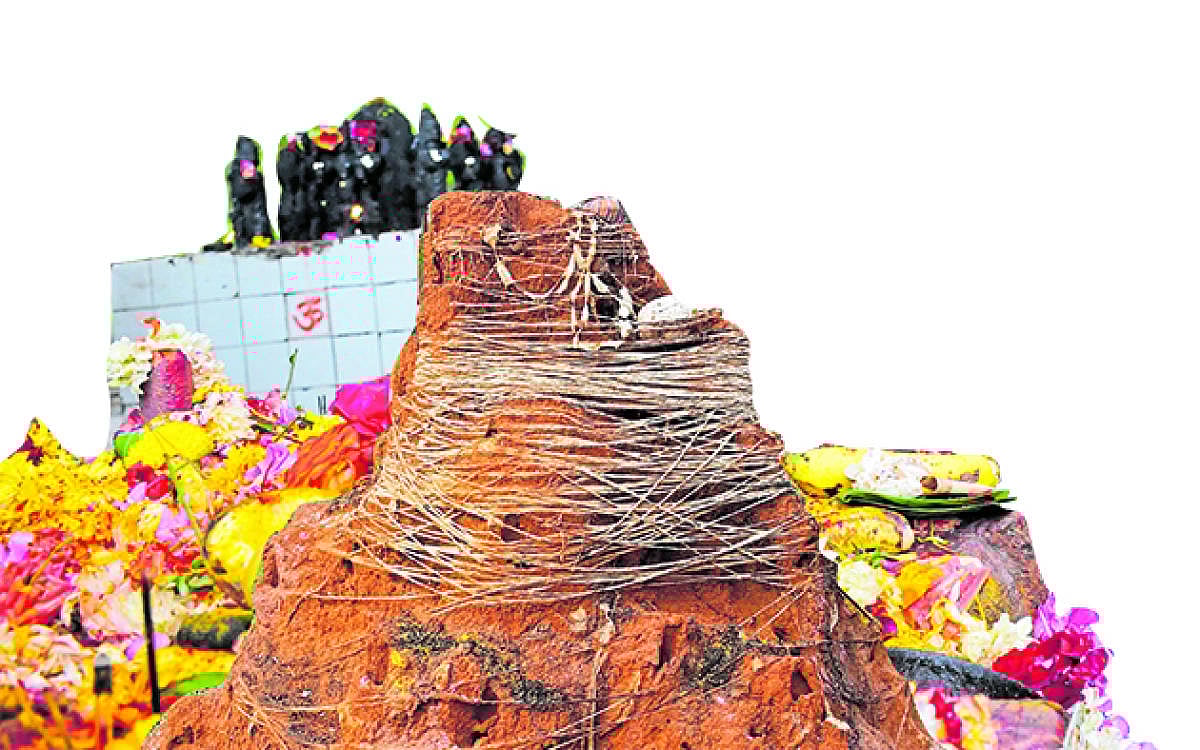 ಇಂದು ನಾಗಪಂಚಮಿ: ನಾಗಪೂಜೆಯಲ್ಲಿ ಸಂಸ್ಕೃತಿಯ ಪದರಗಳು