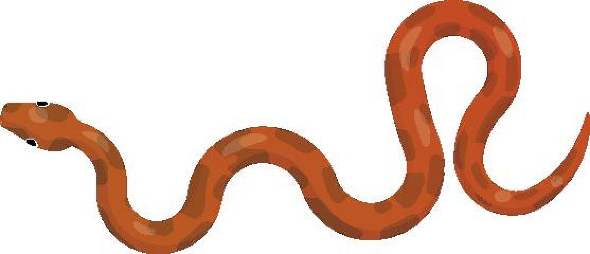 ಹೈದರಾಬಾದ್‌ | ಕಂಡಕ್ಟರ್ ಮೇಲೆ ಹಾವು ಎಸೆದ ಮಹಿಳೆ