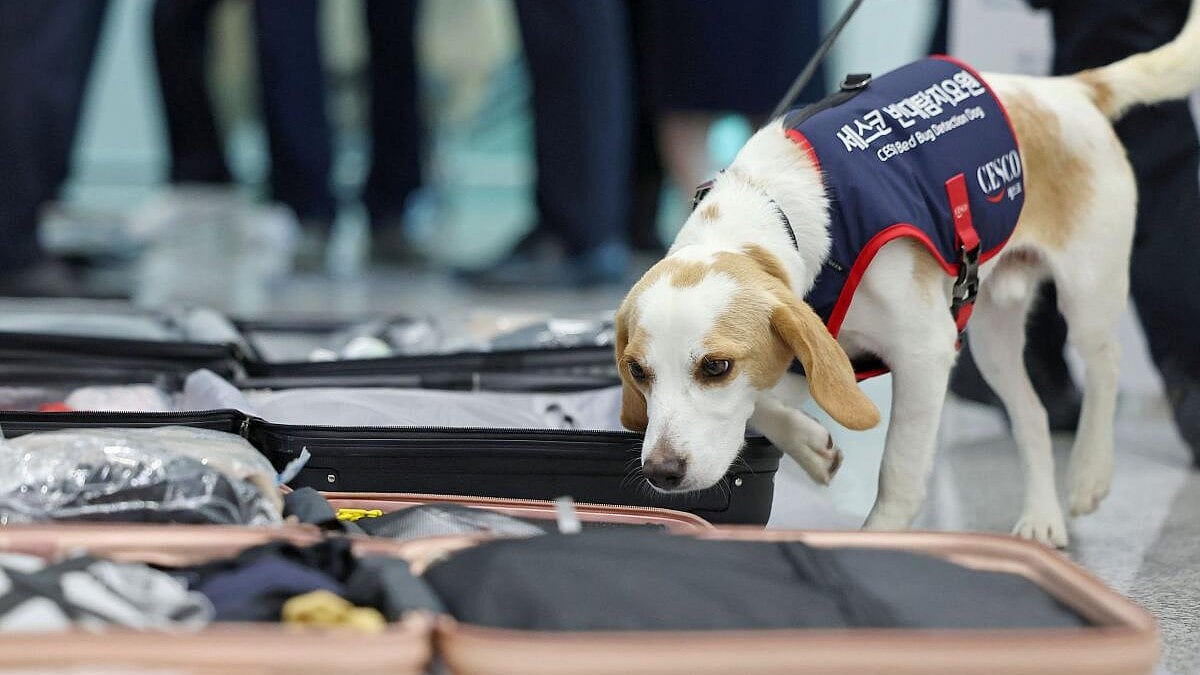 ಪ್ಯಾರಿಸ್‌ನಿಂದ ತಿಗಣೆಗಳು ದೇಶ ಪ್ರವೇಶಿಸದಂತೆ ದ. ಕೊರಿಯಾದಲ್ಲಿ ಶ್ವಾನದಳ ನಿಯೋಜನೆ