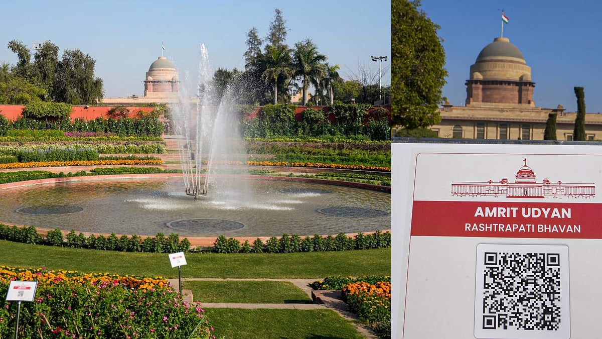 ರಾಷ್ಟ್ರಪತಿ ಭವನದ ಅಮೃತ ಉದ್ಯಾನ ಭೇಟಿಗೆ ಆ.16ರಿಂದ ಅವಕಾಶ: ಬಂದವರಿಗೆ ತುಳಸಿ ಬೀಜ