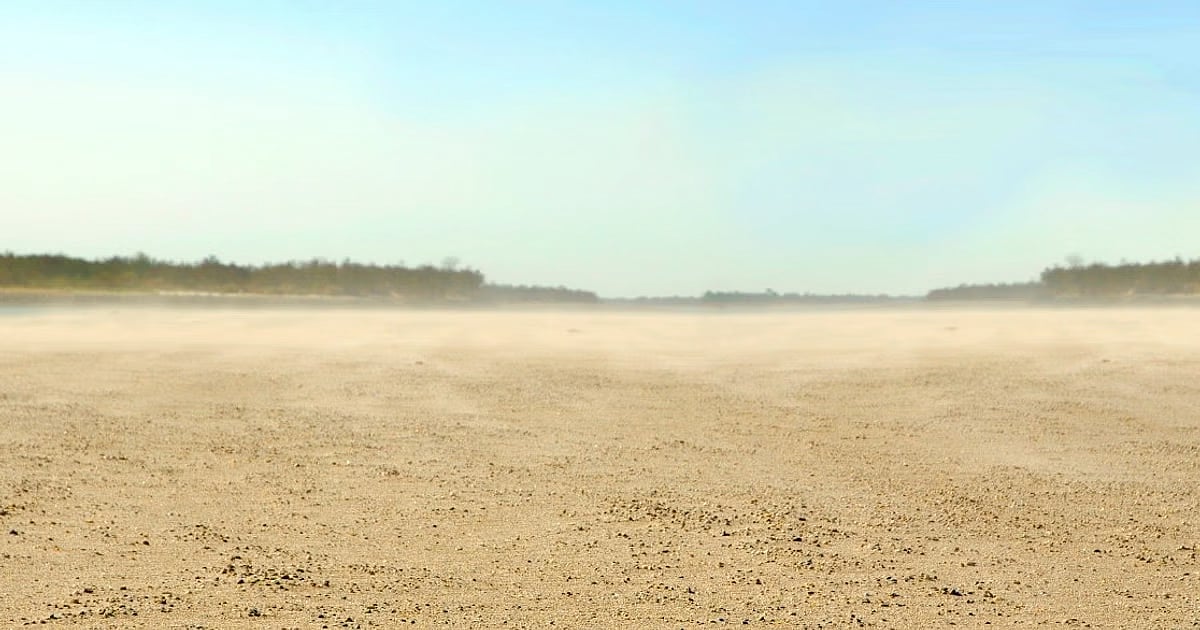 ಚಿತ್ತಾಪುರ | ಸಾವಿರ ಎಕರೆ ಸರ್ಕಾರಿ ಜಮೀನು ಕಬಳಿಕೆ?