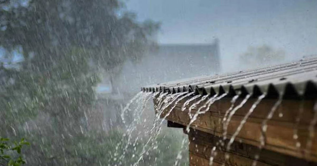 ಕೇರಳದಲ್ಲಿ ಮುಂದುವರಿದ ಭಾರಿ ಮಳೆ: ಕೋಯಿಕ್ಕೋಡ್‌, ವಯನಾಡ್‌ಗೆ ಆರೆಂಜ್ ಅಲರ್ಟ್ 