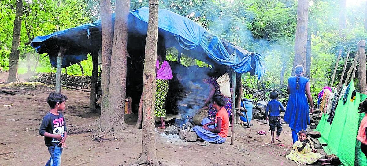 ಒಳನೋಟ: ‘ಜನ್‌ಮನ್‌’ ಜಾರಿಗೆ ಅಸಡ್ಡೆ