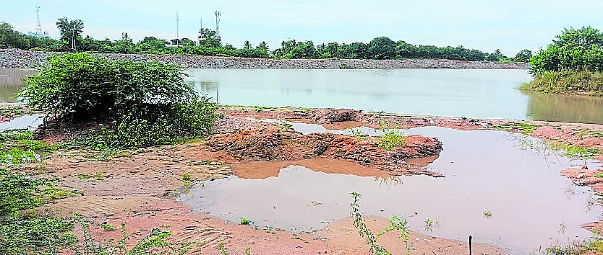 ತಾವರಗೇರಾ: ಮಳೆಯಾದರೂ ರಾಯನಕೆರೆಗಿಲ್ಲ ನೀರು 